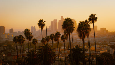 A tour in LA: our tips