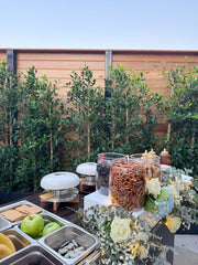 S’mores Cart Catering